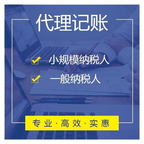 上海普陀區(qū)專業(yè)營業(yè)執(zhí)照代辦 財稅代理價格優(yōu)惠