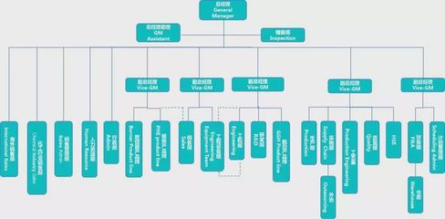 張應(yīng)春談管理:工廠常見的5種組織結(jié)構(gòu)分析,漲知識!