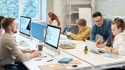 印花稅法實施指南 企業管理咨詢服務的機遇與應對